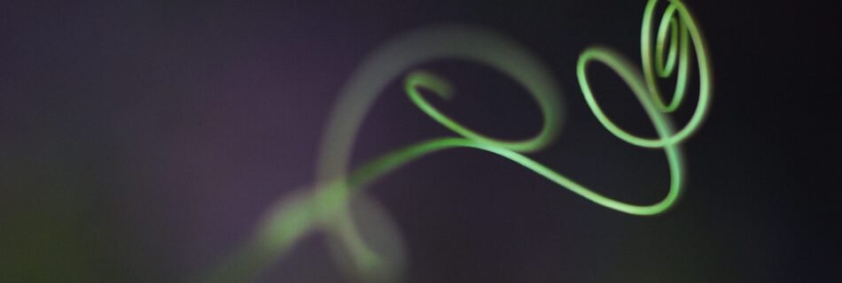 Planta en espiral que simboliza el crecimiento orgánico y continuo de la práctica de Ashtanga Yoga como un proceso vivo de transformación.