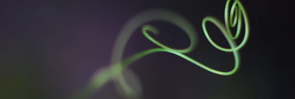 Planta en espiral que simboliza el crecimiento orgánico y continuo de la práctica de Ashtanga Yoga como un proceso vivo de transformación.